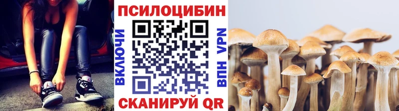 Галлюциногенные грибы MAGIC MUSHROOMS  Серафимович 